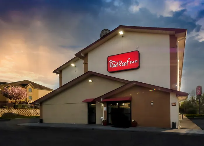 Motel: Red Roof Inn Culpeper